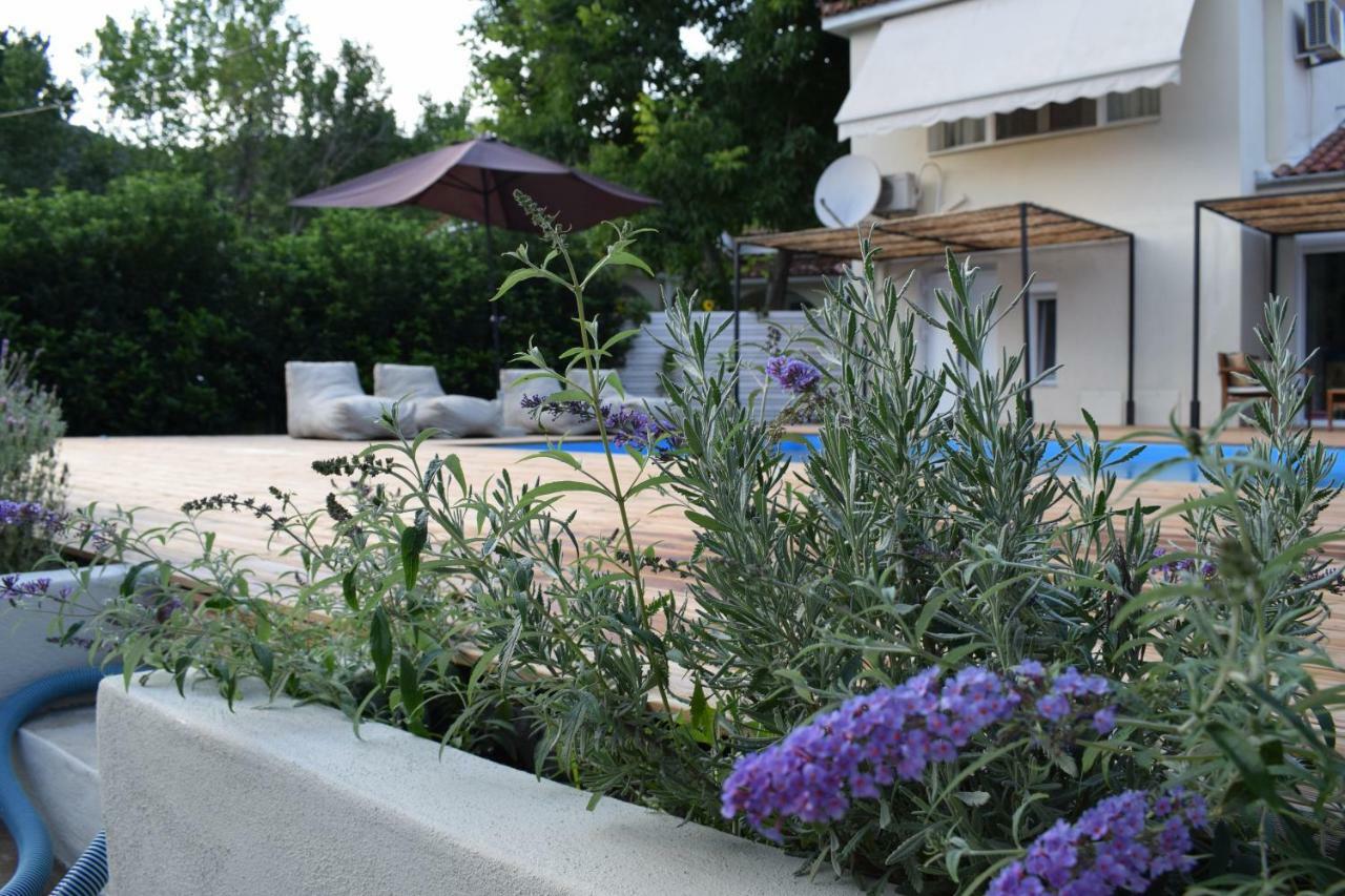 Serenity Luxury Villa, Skiathos Agia Paraskevi  Eksteriør billede