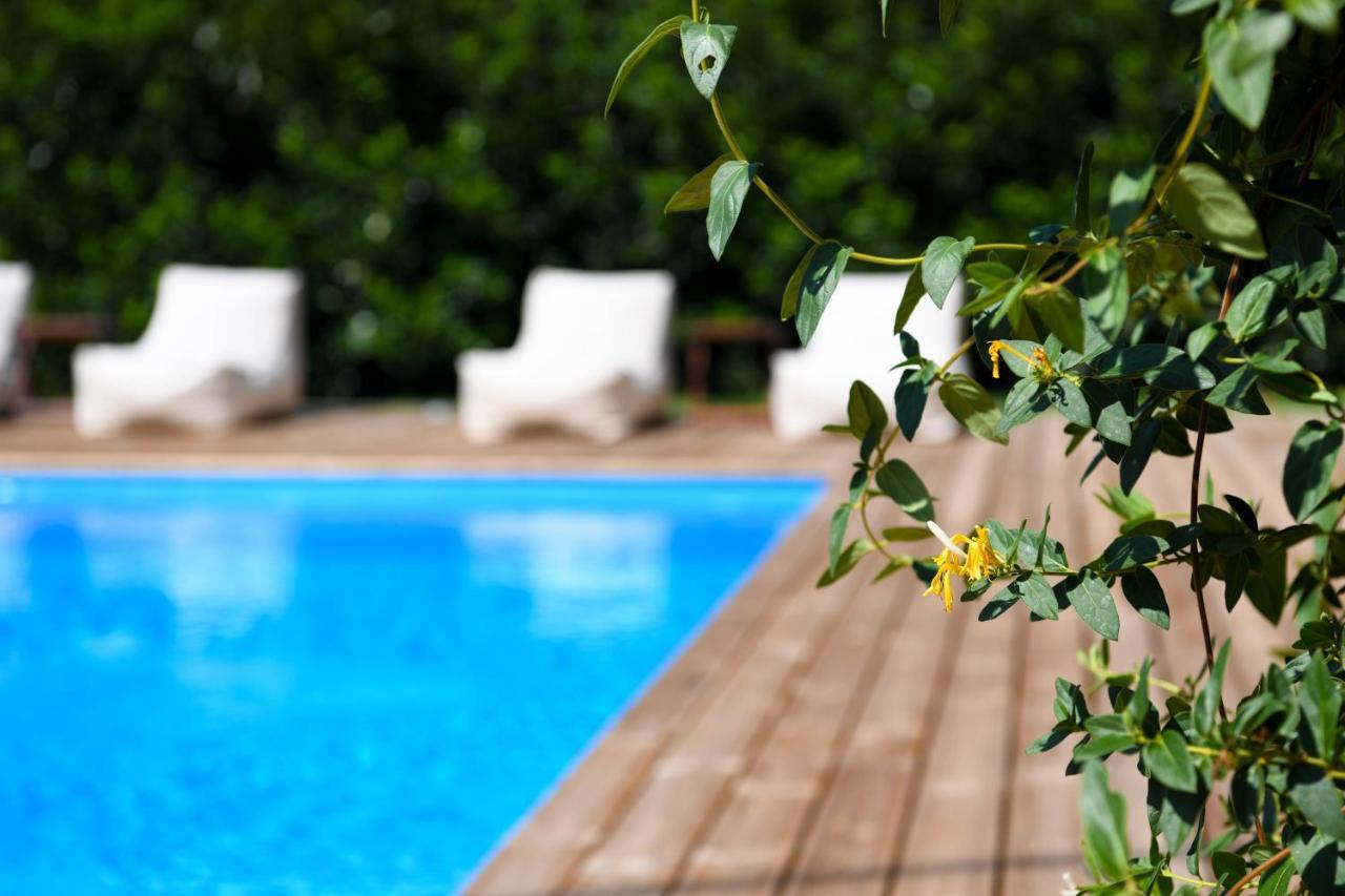 Serenity Luxury Villa, Skiathos Agia Paraskevi  Eksteriør billede